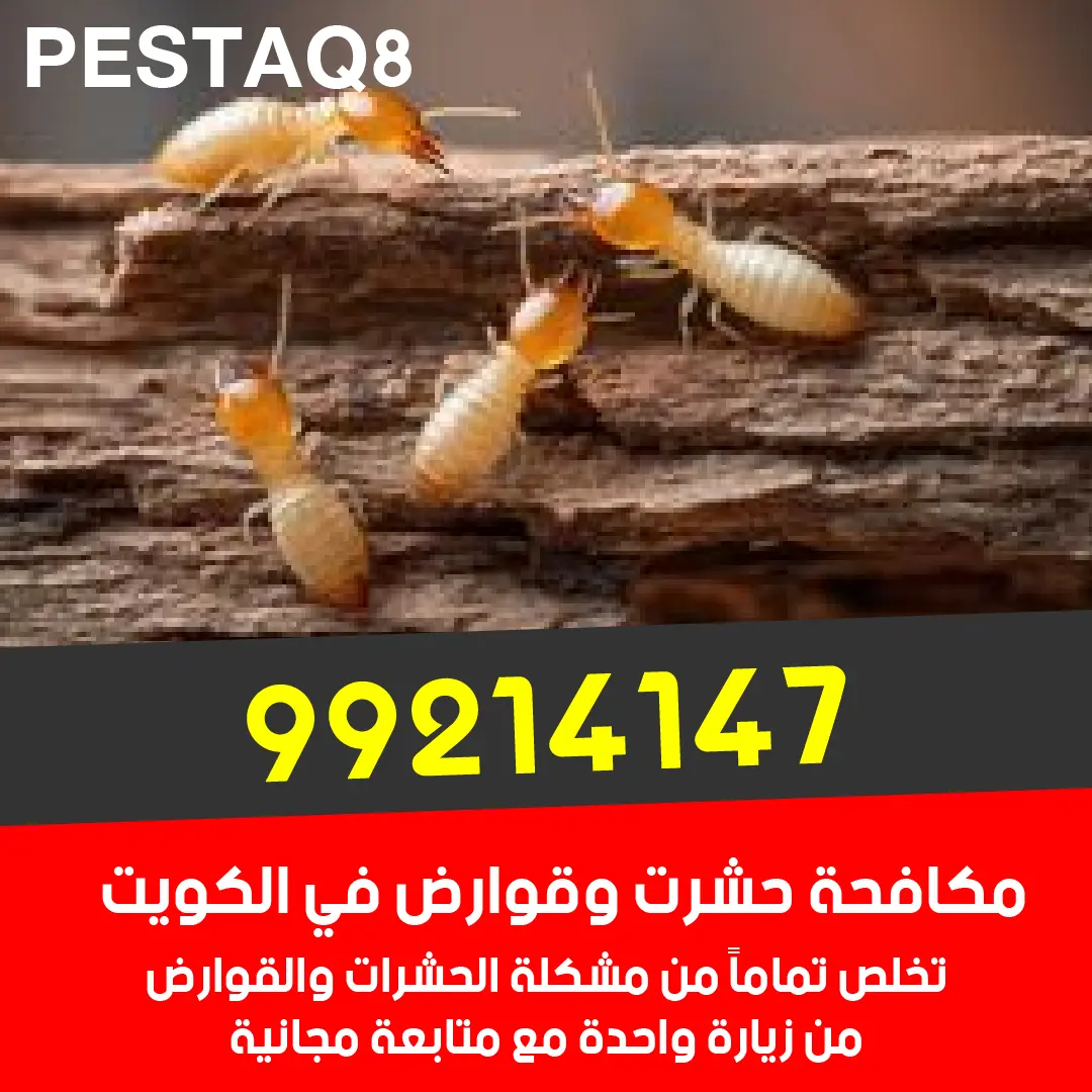 مكافحة النمل الأبيض الأرضة في الكويت - حماية الأثاث الخشبي من التلف بأحدث الطرق
