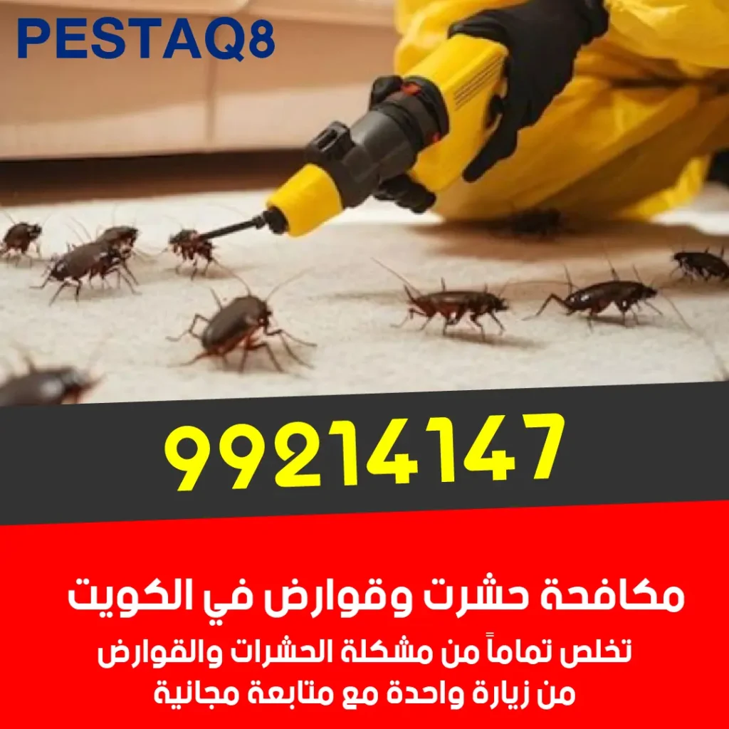 مكافحة الصراصير الألمانية والأمريكية في المطابخ الكويتية - طعوم جل آمنة وفعالة