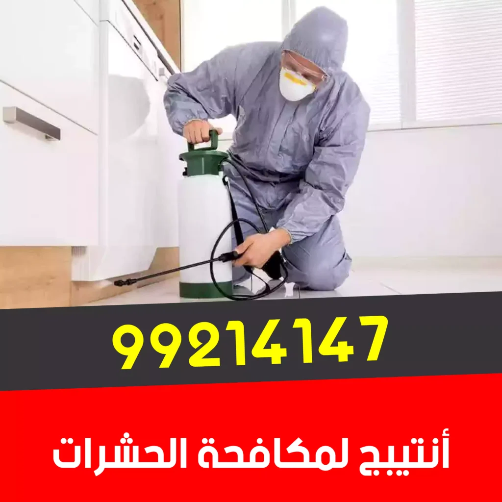 رش حشرات العاصمة