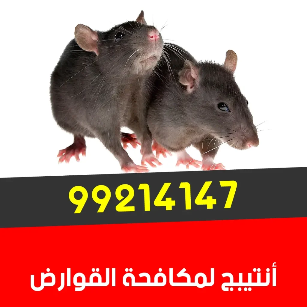مكافحة قوارض الكويت 99214147 أنتي-بج