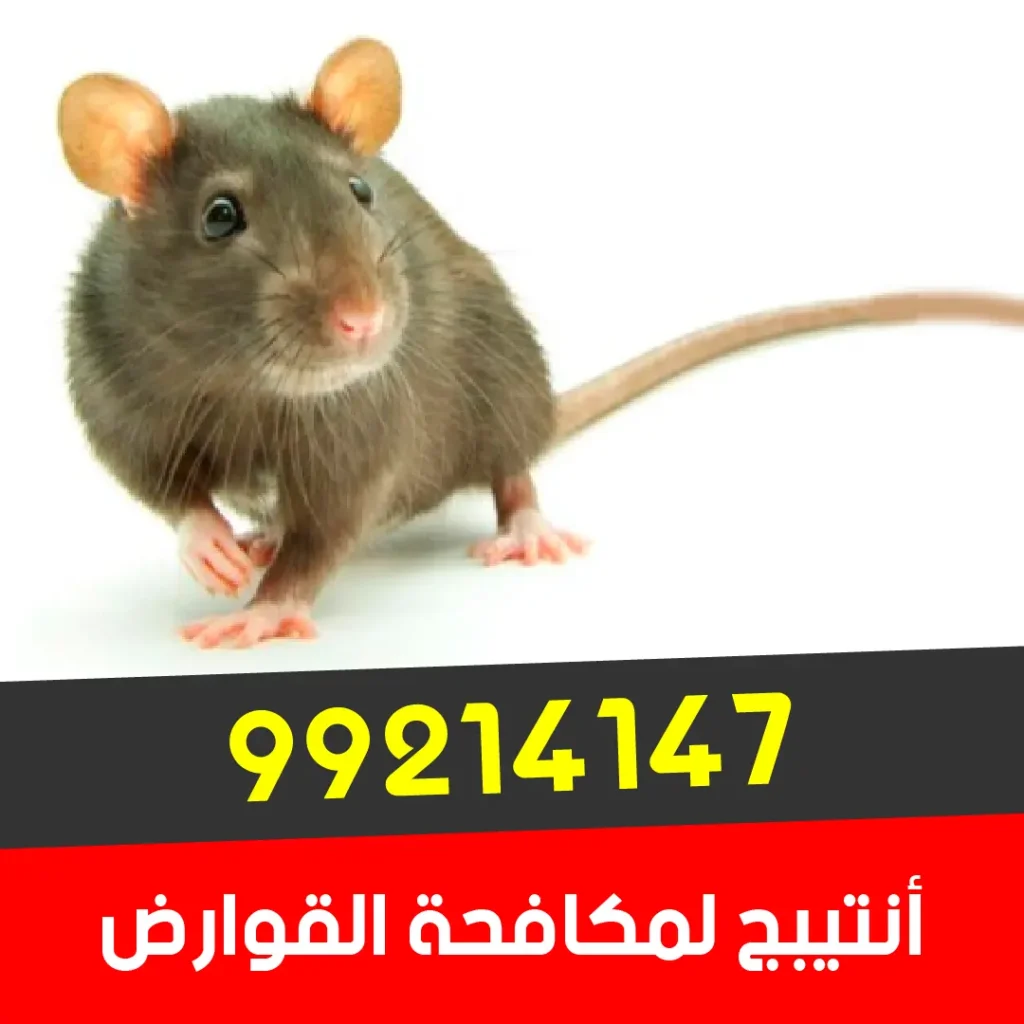أفضل شركة القضاء على القوارض الكويت