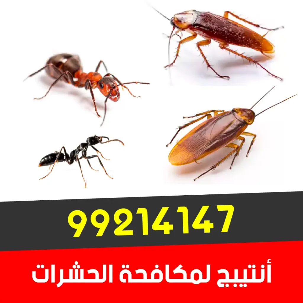 مكافحة الصراصير والنمل بأحدث المبيدات الآمنة 99214147
