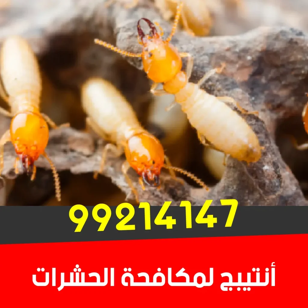 مكافحة النمل الأبيض والأرضة قبل وبعد البناء 99214147