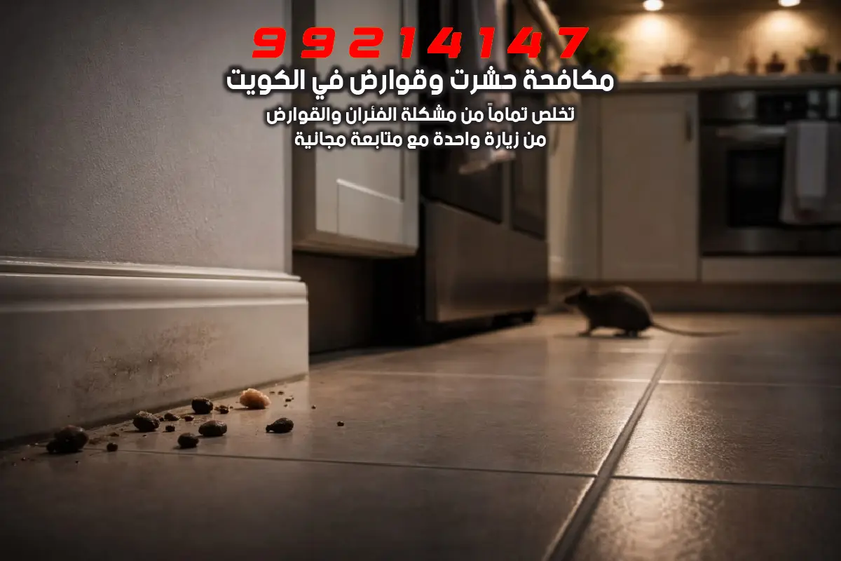 علامات وجود القوارض في المنزل مثل الفضلات السوداء وآثار القضم على الأسلاك والكرتون في الفروانية